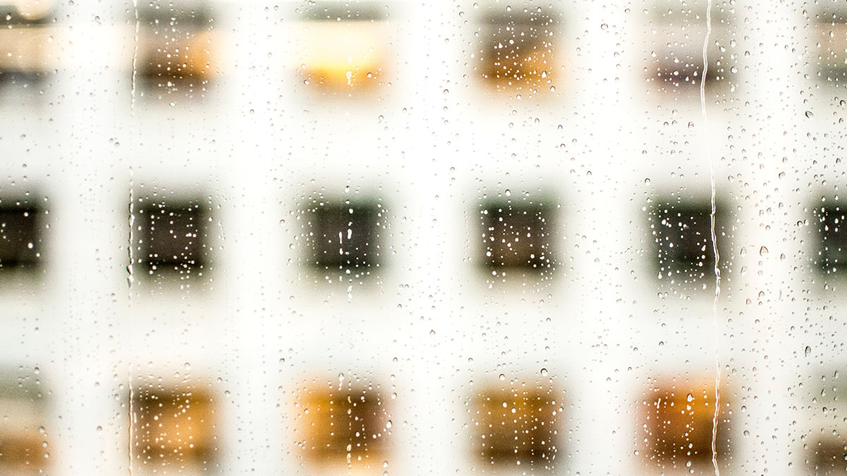 Workplace Transparency is defined by an out-of-focus image of a corporate building shot by Pamela Saunders.