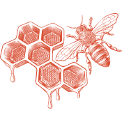 Red illustration of a bee on honeycomb, representing the Order brand archetypes: The Caregiver, The Ruler, and The Creator. (The Order quadrant of the brand architect wheel is also sometimes called Structure.)